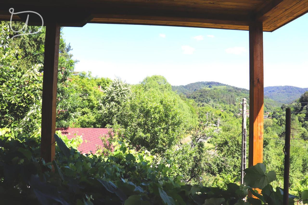Вила Ирена Radevtsi Esterno foto