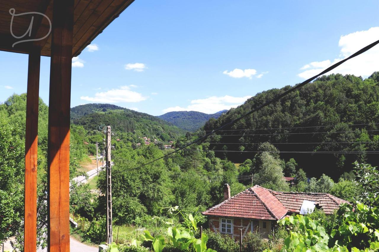 Вила Ирена Radevtsi Esterno foto