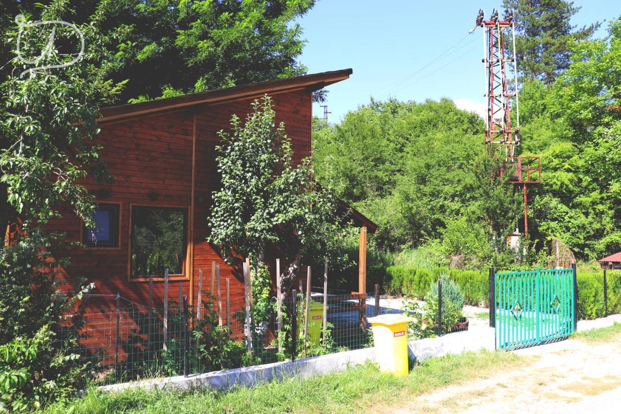 Вила Ирена Radevtsi Esterno foto